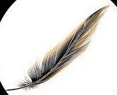 Juan De La Espriella