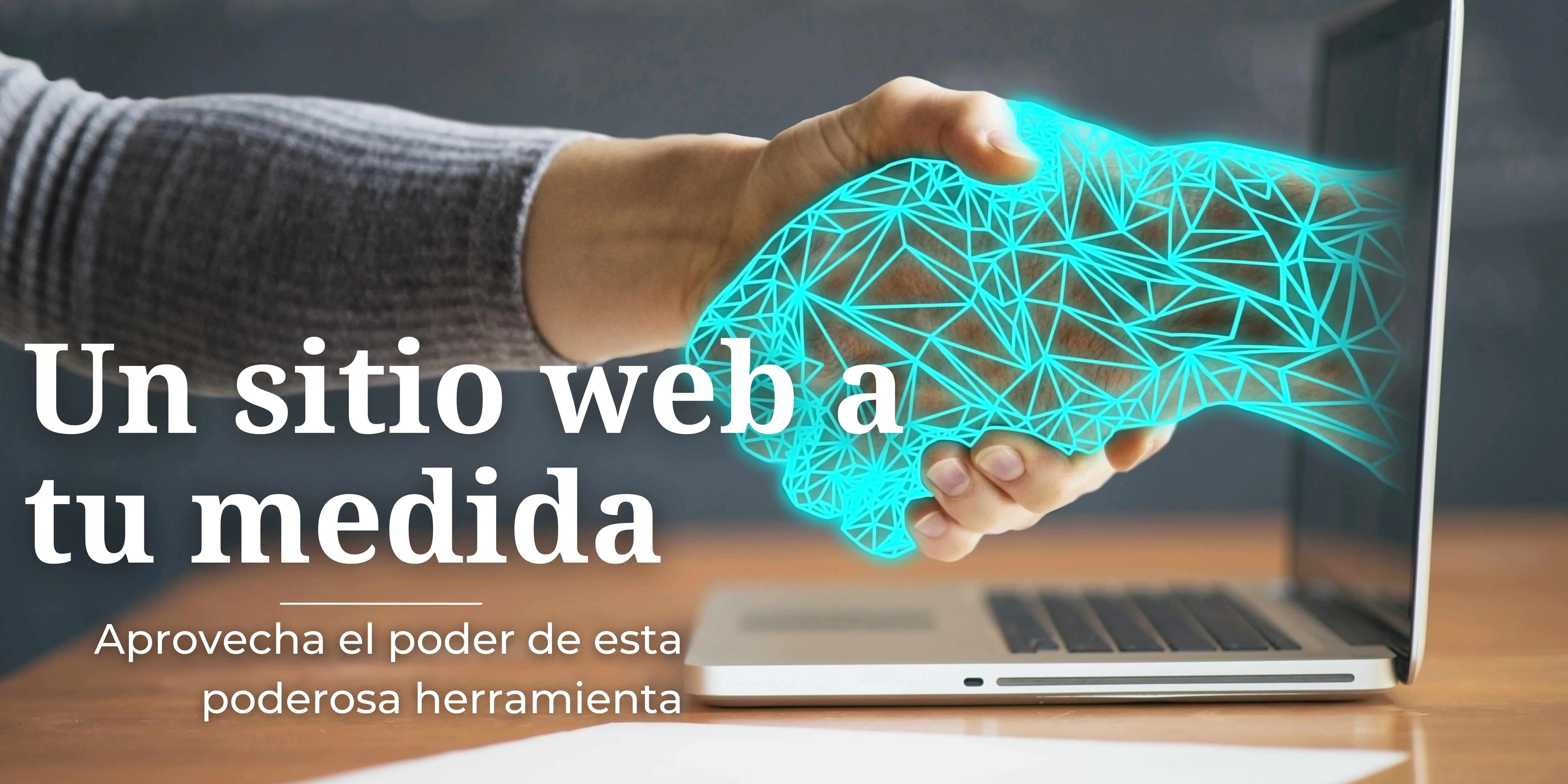 Tu sitio web (3)